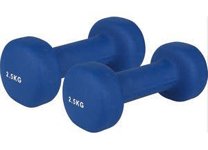 WITEBLAZE NEOPRENHANTEL 2x 2.5 kg