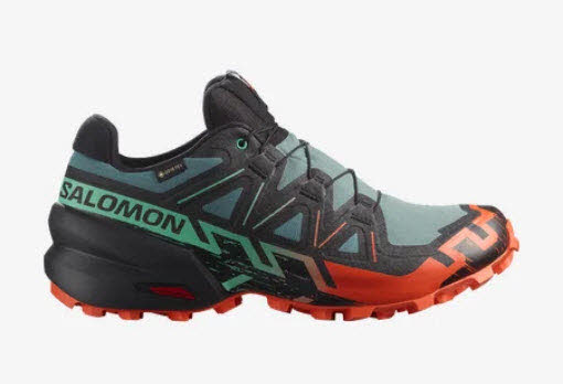 SALOMON SPEEDCROSS 6 GTX® Bild 2