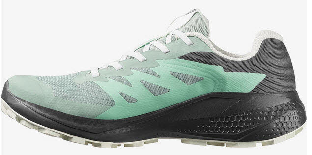 SALOMON ALPHAGLIDE GTX W