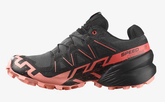 SALOMON SPEEDCROSS 6 GTX® W 9