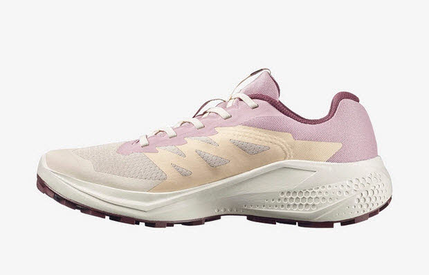 SALOMON ALPHAGLIDE W