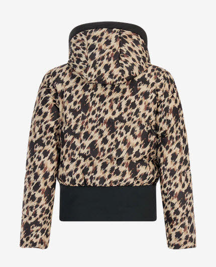 PROTEST PRT JETTA Bild 4